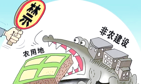 兩高司法解釋:非法占用耕地建房、挖砂等合約無(wú)效