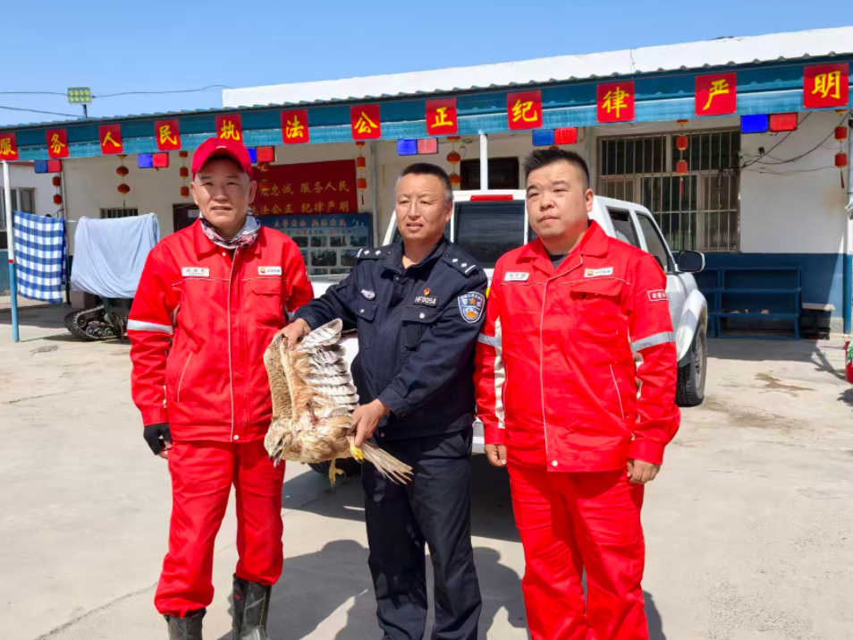 沙漠深處硬核聯(lián)動 跨越300公里的生態(tài)保護接力